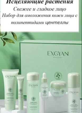 Exgyan centella asiatica набор для лица с экстрактом центеллы и пептидами, 6шт