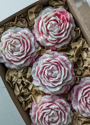 Набір соєвих свічок півоній 5 шт