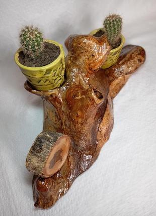 Декор інтер'єру міні-садочок