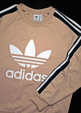Женский свитшот adidas худи кофта