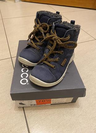 Ecco 24 розмір