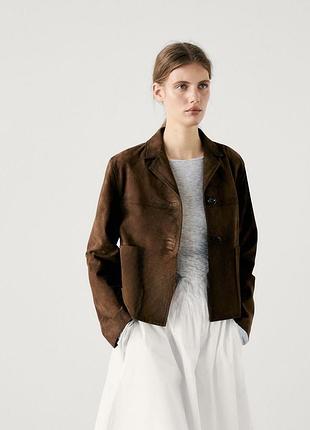 Піджак massimo dutti