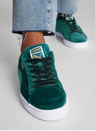 Кроссовки женские puma basket classic velvet sneakers green 398949-01 бархатные тренд