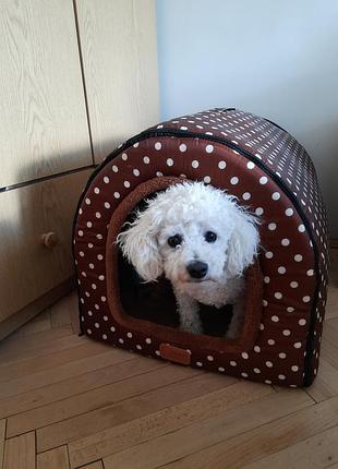 Будка для собаки