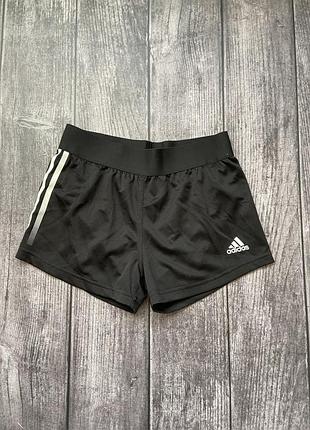Спортивні шорти adidas