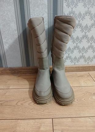 Жіночі чоботи zara
