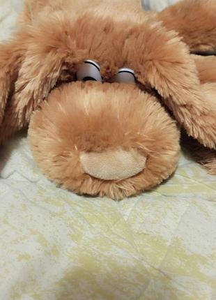 Собака мягкая очень красивая