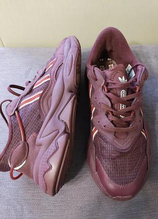 adidas sign ozweego