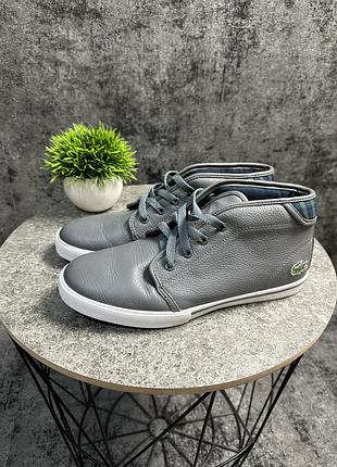 Кеды lacoste 38р.4 фото