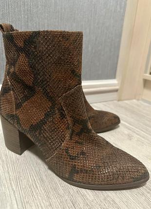 Жіночі ботильйони steve madden