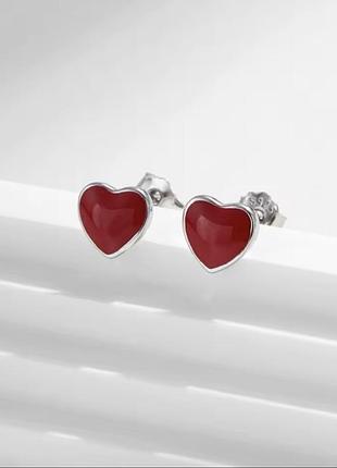 Серьги серебряные сердечки эмаль гвозди плесени