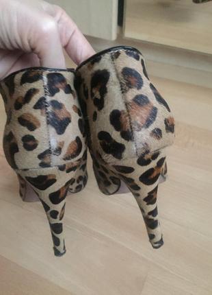 Ботильены, ботинки, кожаные леопардовый принт. aldo.7 фото