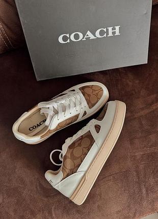 Кеди coach