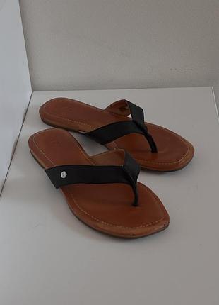 Тапки ugg 5
