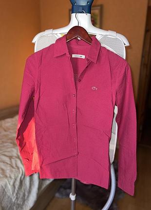 Сорочка жіноча lacoste рожева