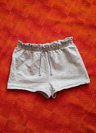 Шорты трикотажные (24.4)