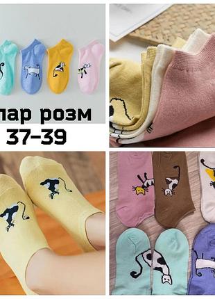 Распродажа! носки женские