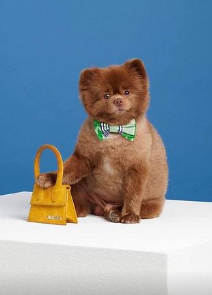 Желтая мини сумка сумочка jacquemus кросс боди через плечо