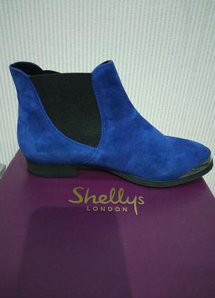 Сапоги челси женские shellys london