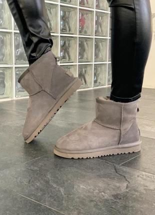 Уги ugg bailey mini || grey угги