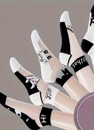 Носки прозрачные котики