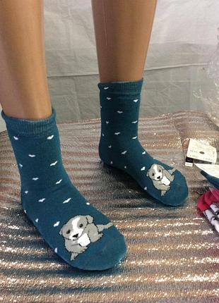 Носки махровые р.36-39(23-25) щенка