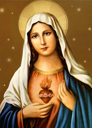 Алмазна мозаїка на підрамнику ікона серце діви марії 40х50 tn1015