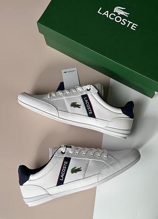 Кроссовки Kids lacoste us m8,5 (41)