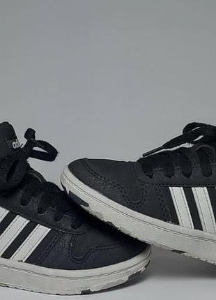 Крутые хайтопы adidas оригинал