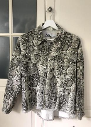 Zara рубашка пиджак animal print