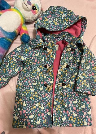 Курка дощовик