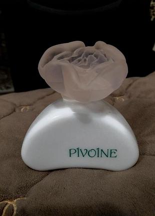 Pivoine