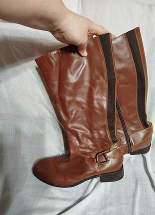 Сапоги, кожа