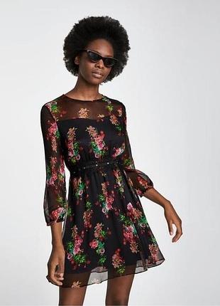 Сукня zara
