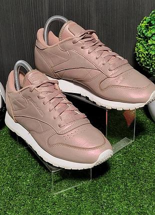 Женские кроссовки reebok, 37/23 см