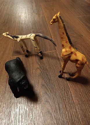 Набор "дикий зверь"