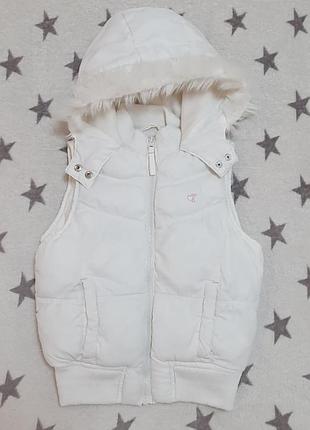 Жилет/безрукавка + бомпер