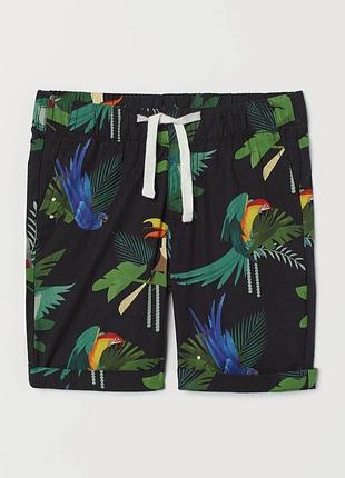 Шорти