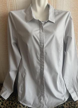 Блуза. рубашка в полоску із бавовни. р. 52/54.