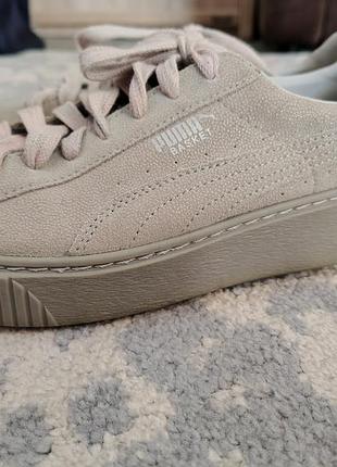 Кеды брендори puma basket(оригинал!!)!
