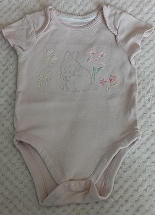 Бодікі 3-6м, 6 м.