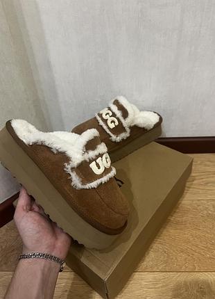 Ugg,ugg Pcd сабо, мюли,мюлы,угги,угги,tazz.2 фото