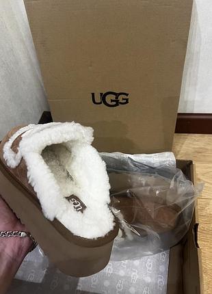 Ugg,ugg Pcd сабо, мюли,мюлы,угги,угги,tazz.6 фото