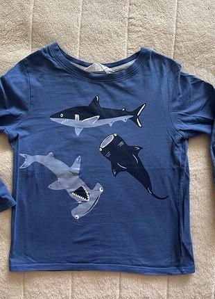 Реглан кофта h&amp;m