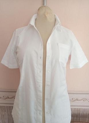 Шикарная белоснежная ,приталенная рубашка с коротким воротничком,хорошо держит форму,качественная,