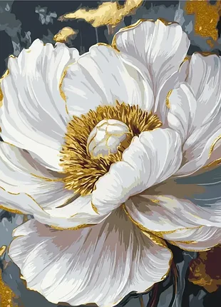 Картина по номерам 40 на 50см