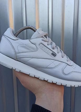 Кожаные кроссовки reebok classic размер 36 (23.5 см.)