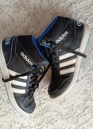 Кросівки фірми adidas 37 розміру за устілкою 23 см.