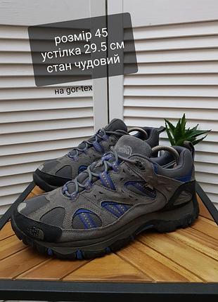Чоловічі трекінгові кросівки the north face