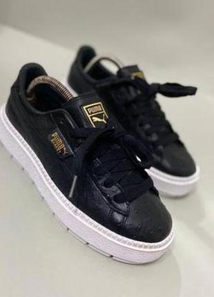 Кросівки, кеди від puma